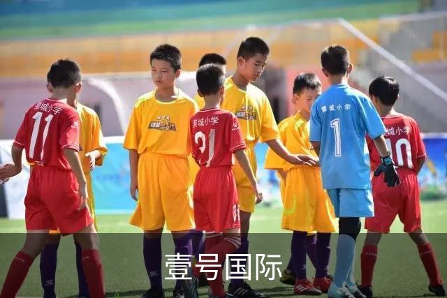 壹号国际公司简介展示图